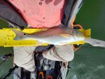 Fishing &raquo; April on Braunig